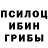 Галлюциногенные грибы Psilocybine cubensis h4hashir