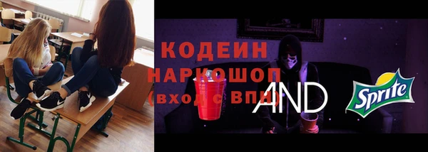 2c-b Каменка