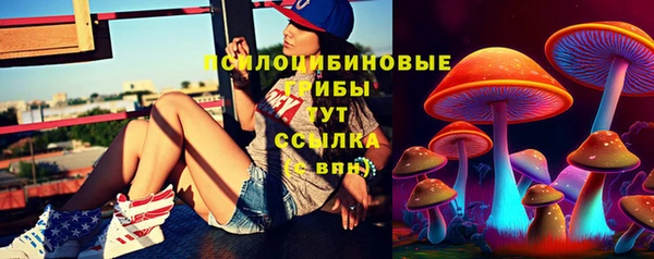 гидропоника Касимов