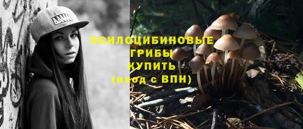 прущая мука Карпинск