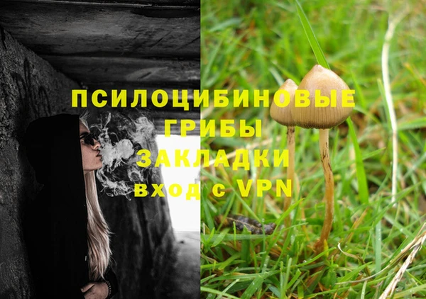 шишки Каменск-Шахтинский